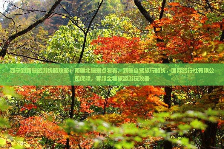 西宁到新疆旅游