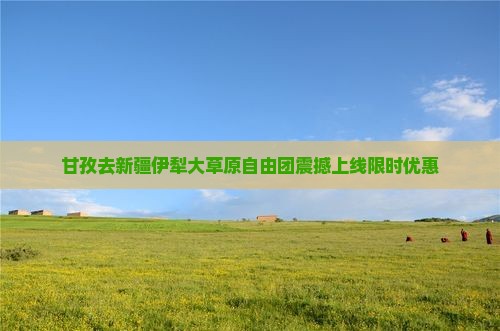 甘孜去新疆伊犁大草原自由团