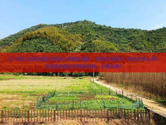 丽江去新疆吐鲁番五日游