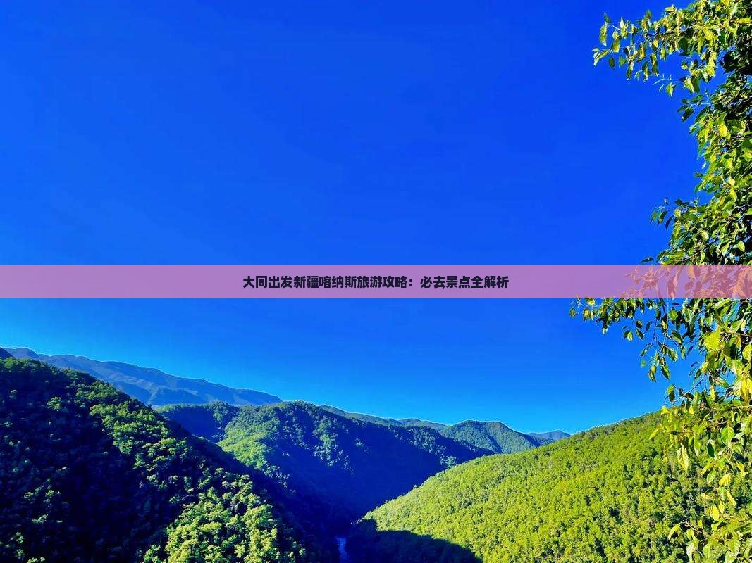 大同去新疆喀纳斯自由团