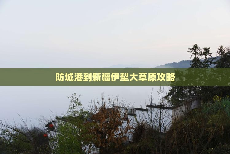 防城港到新疆伊犁大草原攻略