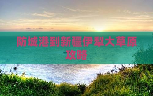 防城港到新疆伊犁大草原攻略