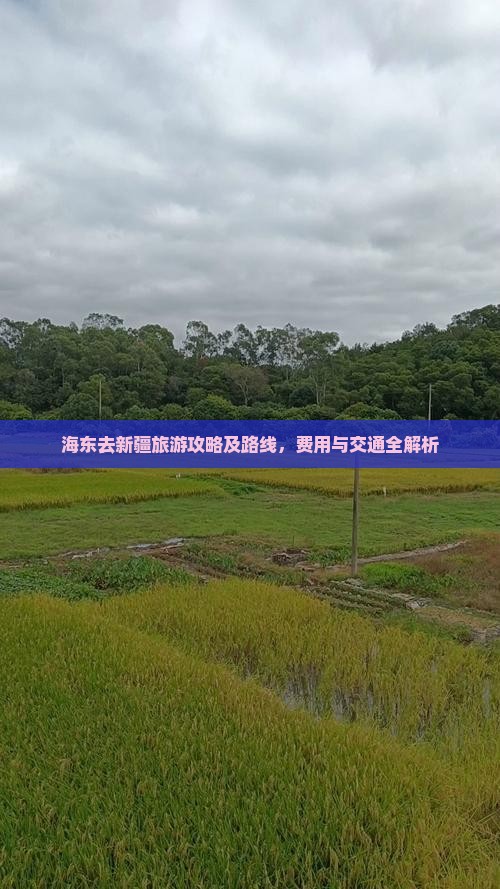 海东去新疆旅游
