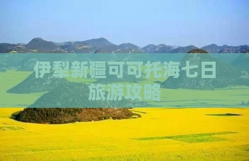 伊犁去新疆可可托海七日游