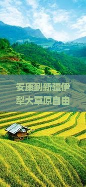 安康到新疆伊犁大草原自由行
