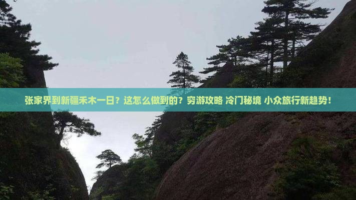 张家界到新疆禾木一日
