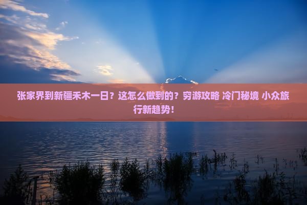 张家界到新疆禾木一日