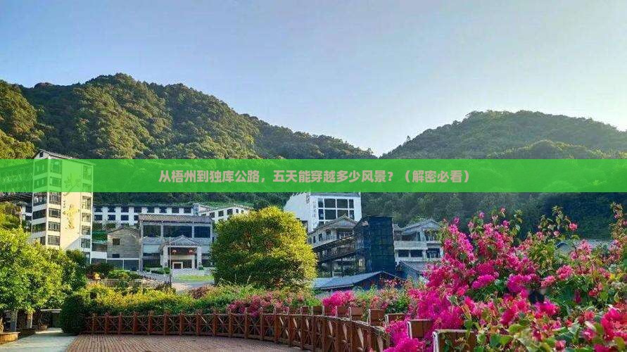 梧州到新疆独库公路五日游