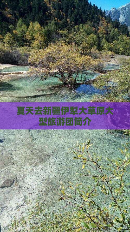 夏天去新疆伊犁大草原大型旅游团