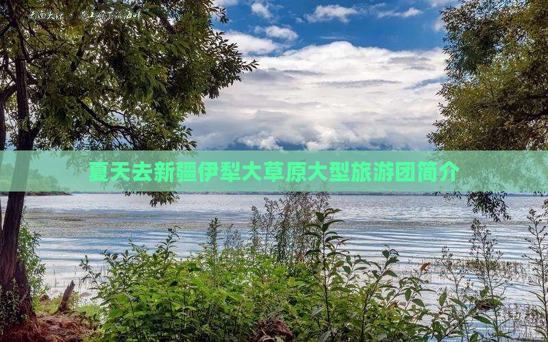 夏天去新疆伊犁大草原大型旅游团