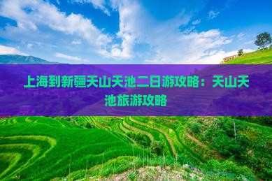 上海到新疆天山天池二日游