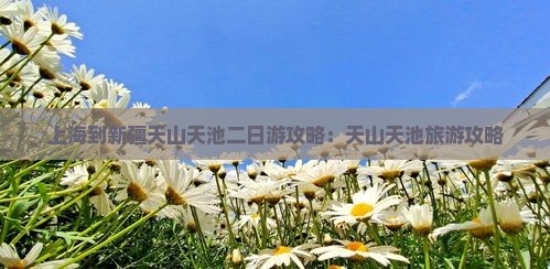 上海到新疆天山天池二日游