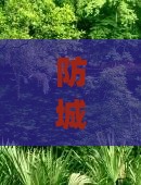 防城港到新疆赛里木湖五日游