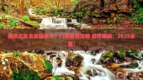 酒泉去新疆禾木门票