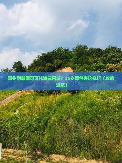 惠州到新疆可可托海三日游