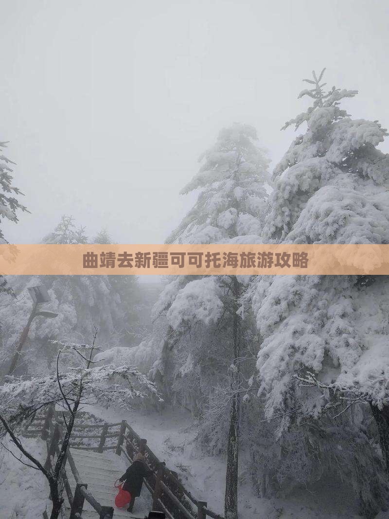 曲靖去新疆可可托海景点
