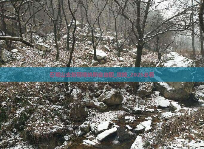 石嘴山去新疆喀纳斯自由团