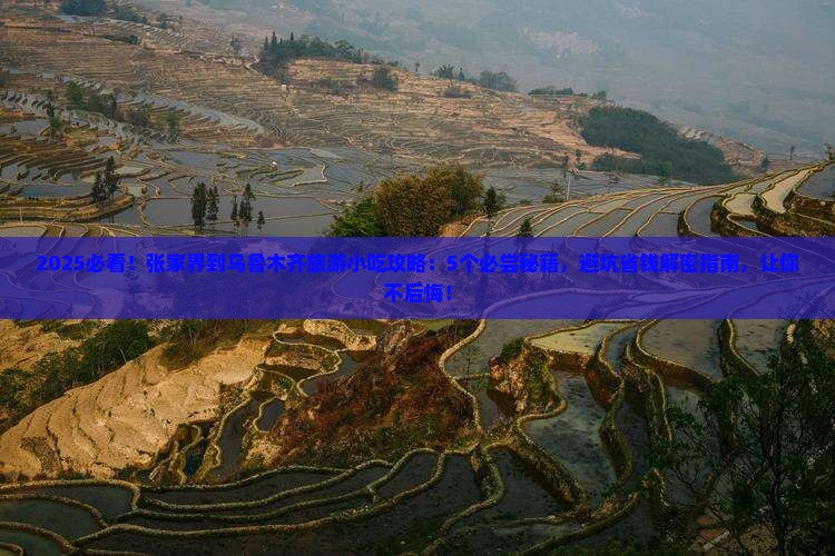 张家界到新疆乌鲁木齐旅游小吃