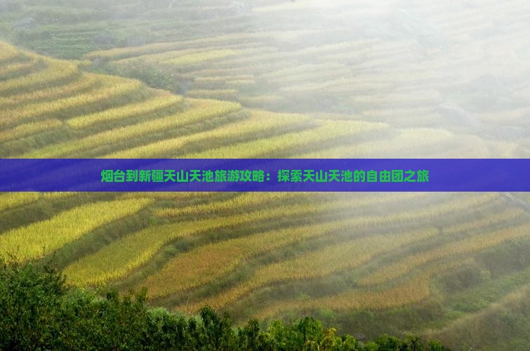 烟台到新疆天山天池自由团