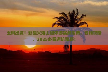 玉树去新疆火焰山团体旅游