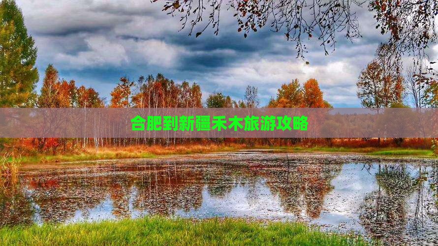 合肥到新疆禾木旅游