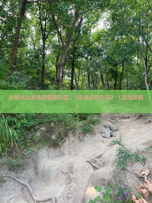 晋城去新疆那拉提个人游