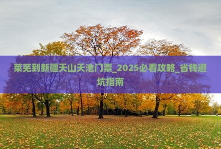莱芜到新疆天山天池门票