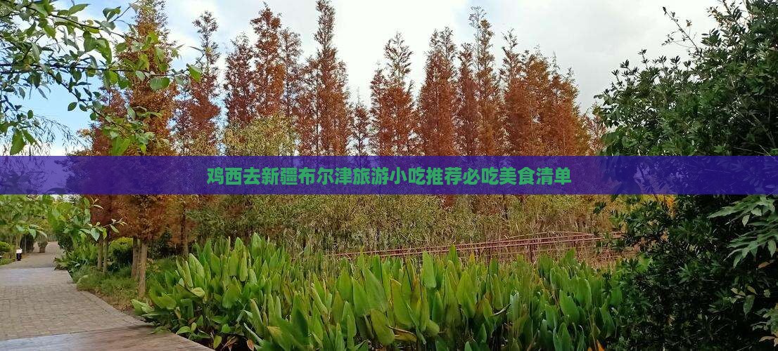 鸡西去新疆布尔津旅游小吃