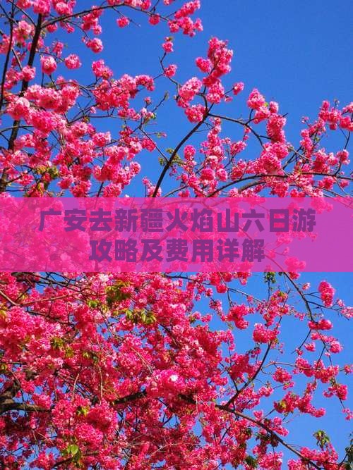 广安去新疆火焰山六日游攻略及费用详解
