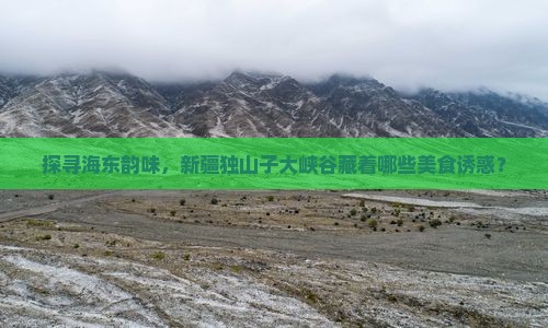 探寻海东韵味，新疆独山子大峡谷藏着哪些美食诱惑？