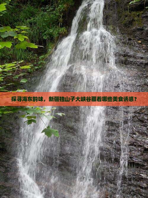 探寻海东韵味，新疆独山子大峡谷藏着哪些美食诱惑？