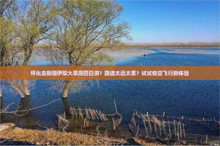怀化去新疆伊犁大草原四日游？路途太远太累？试试低空飞行新体验