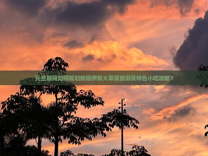 元旦期间如何规划新疆伊犁大草原旅游及特色小吃攻略？