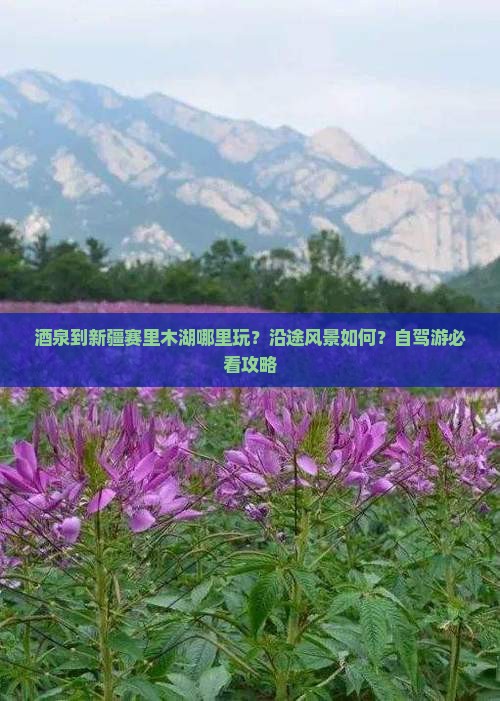 酒泉到新疆赛里木湖哪里玩？沿途风景如何？自驾游必看攻略