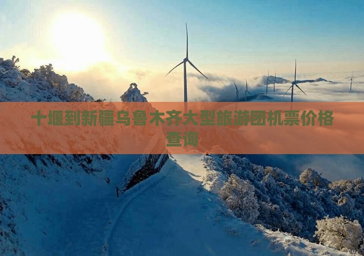 十堰到新疆乌鲁木齐大型旅游团机票价格查询