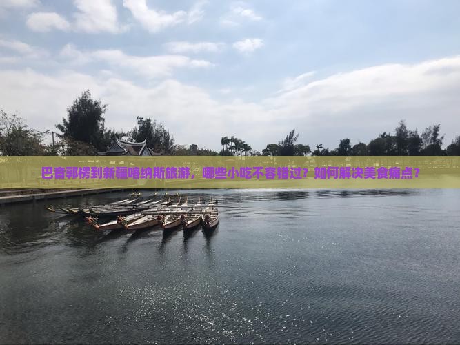巴音郭楞到新疆喀纳斯旅游，哪些小吃不容错过？如何解决美食痛点？