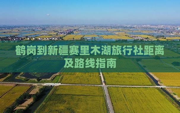 鹤岗到新疆赛里木湖旅行社距离及路线指南