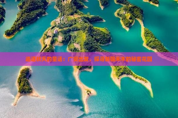 追逐秋天的童话：广安出发，探寻新疆禾木的秘密花园
