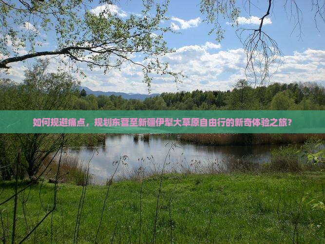 如何规避痛点，规划东营至新疆伊犁大草原自由行的新奇体验之旅？