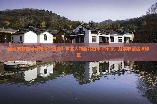 鹤岗去新疆可可托海二日游？东北人到西北怕水土不服，赶紧收藏这波种草
