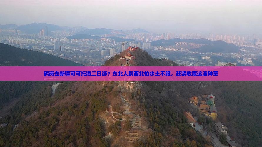 鹤岗去新疆可可托海二日游？东北人到西北怕水土不服，赶紧收藏这波种草