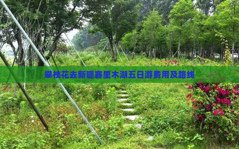 攀枝花去新疆赛里木湖五日游费用及路线