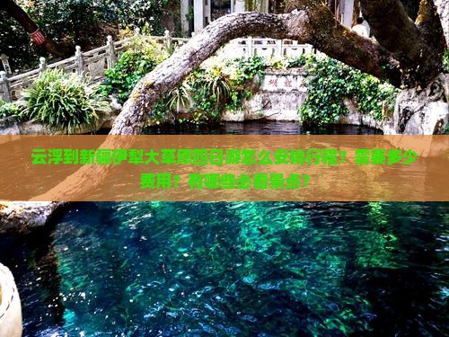 云浮到新疆伊犁大草原四日游怎么安排行程？需要多少费用？有哪些必看景点？
