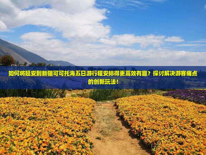 如何将延安到新疆可可托海五日游行程安排得更高效有趣？探讨解决游客痛点的创新玩法！
