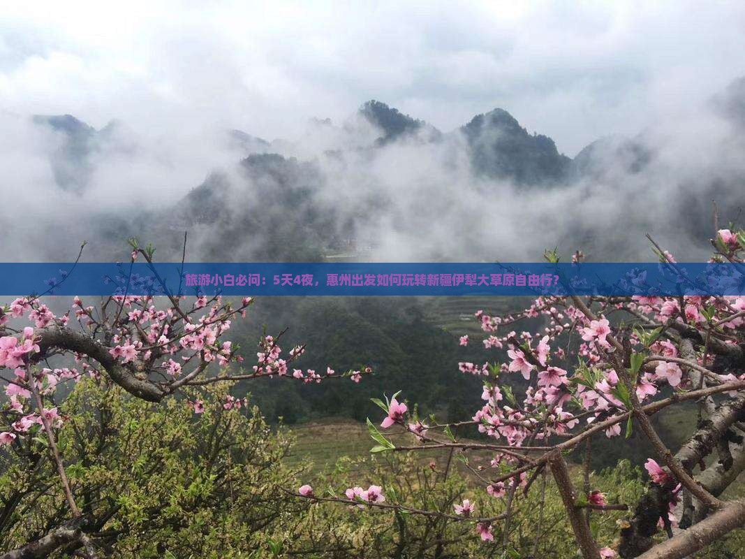 旅游小白必问：5天4夜，惠州出发如何玩转新疆伊犁大草原自由行？