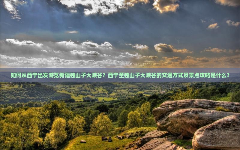 如何从西宁出发游览新疆独山子大峡谷？西宁至独山子大峡谷的交通方式及景点攻略是什么？