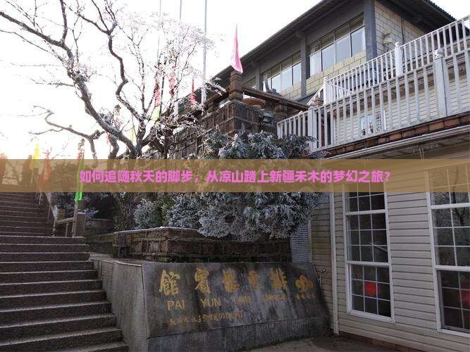 如何追随秋天的脚步，从凉山踏上新疆禾木的梦幻之旅？