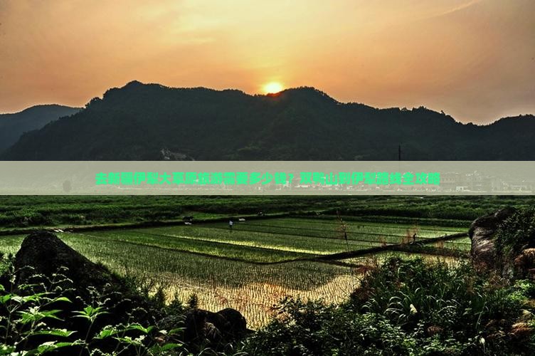 去新疆伊犁大草原旅游需要多少钱？双鸭山到伊犁路线全攻略