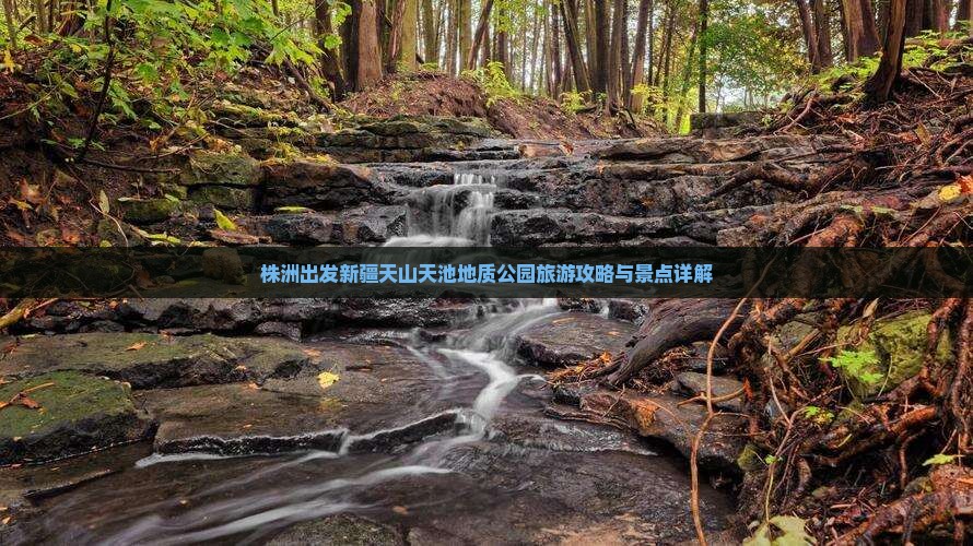株洲出发新疆天山天池地质公园旅游攻略与景点详解