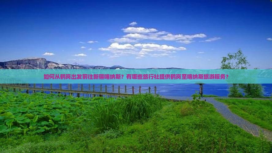 如何从鹤岗出发前往新疆喀纳斯？有哪些旅行社提供鹤岗至喀纳斯旅游服务？